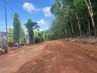Chính chủ cần bán 2200m đất vườn cao su taị xã tân hưng đồng phú, shr giá rẻ