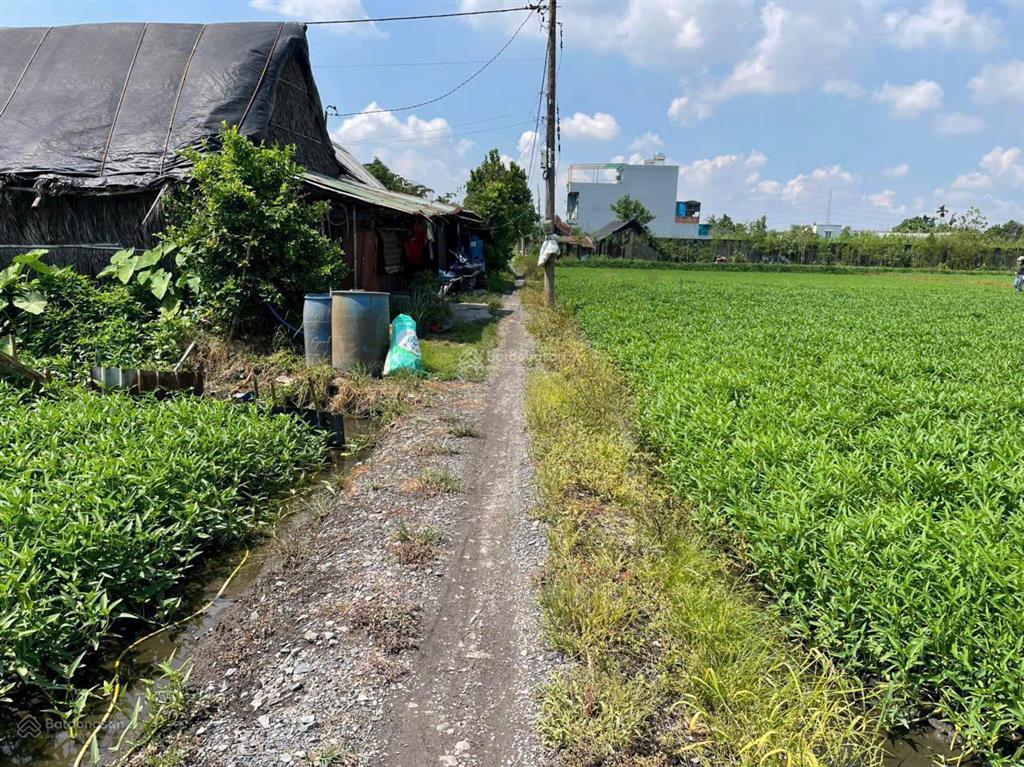 Bán đất quy hoạch đất ở, (25m x 79m), cách đường bình mỹ chỉ 250m, bình mỹ củ chi