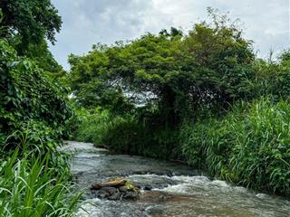 Giá bán lỗ chỉ còn 860 triệu  sổ hồng riêng  view cực đẹp