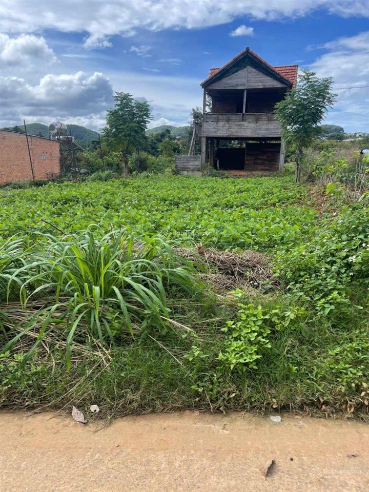 Đất thổ cư mê linh, ven đà lạt 450m cách dt725 chỉ 300m. 1 tỷ 750 triệu