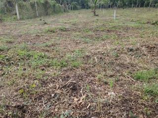 #đất long khánh, bảo vinh, giá chất 1,45 tỷ, 500m2