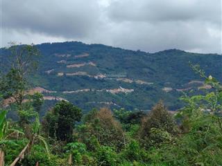 #đất view núi chứa chan, xuân lộc, 600 triệu, 147m2