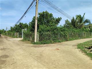 #vườn trái cây 2mt bảo quang, 4,4 tỷ, 4000 m2,