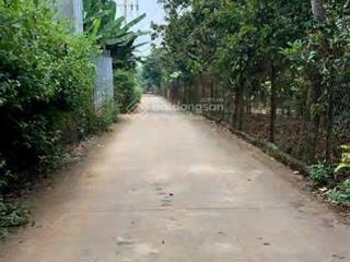 #vườn trái cây bình lộc, long khánh,có nhà giá 3,8 tỷ, dt 1256 m2