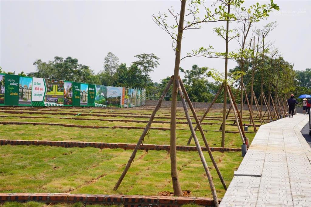 Bán đất mặt trục chính, gần trường đại học học diện tích 102m giá 28