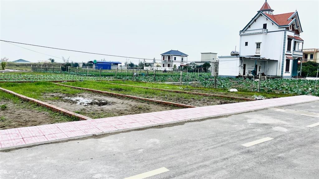 Em cần bấn gấp 4 lô siêu phẩm ngay gần bãi tắm chính quất lâm