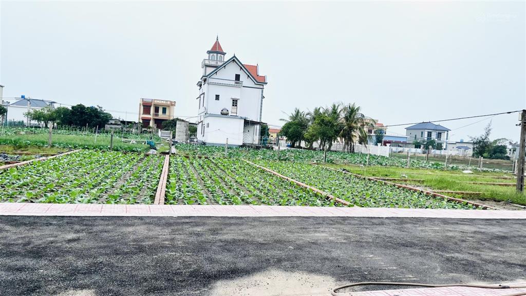 Em cần bấn gấp 4 lô siêu phẩm ngay gần bãi tắm chính quất lâm