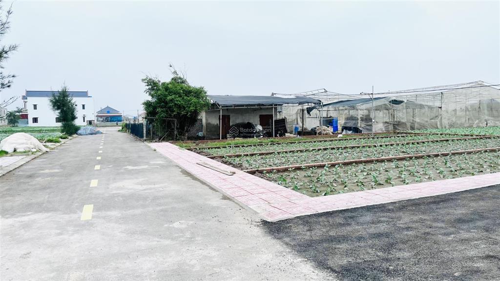 Em cần bấn gấp 4 lô siêu phẩm ngay gần bãi tắm chính quất lâm