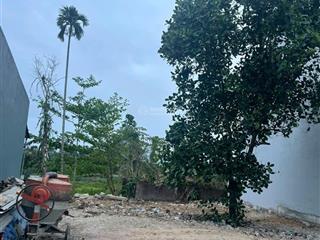 Chính chủ bán đất đẹp biệt thự nở hậu tại hòa sơn, hòa vang, đà nẵng diện tích 316,6 m2 giá 2 tỷ 3