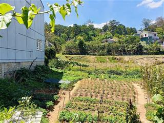 Tôi chính chủ cần bán nhanh 2 lô đất gần dinh độc lập, phường 10, đà lạt, lâm đồng. full thổ cư