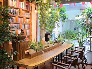Siêu hiếm ! tầng 1 nam thành công  kinh doanh siêu đỉnh  dòng tiền đều lô góc mặt tiền 15m