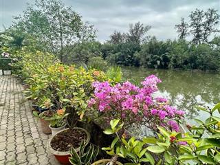 Nhà biệt thự quận 7 kdc tân quy đông tân phong. dt 240m2 giá 38 tỷ. 12x20. 3 tầng view công viên