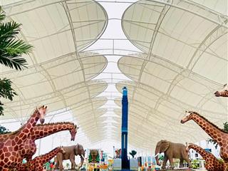 Chủ cần tiền cắt lỗ liền kề trục dọc thông biển quay bệnh viện