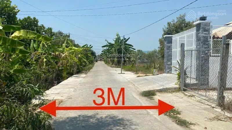 Bán bđs thanh lý tại ấp bình can, xã bình thạnh, thủ thừa, long an. sổ hồng, dt 270m2 giá 750tr