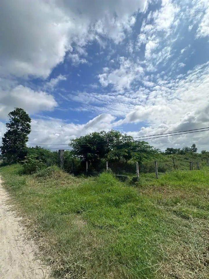 Bán đất tại tân mỹ, đức hòa, long an. dt 2.226 m2, giá cực rẻ