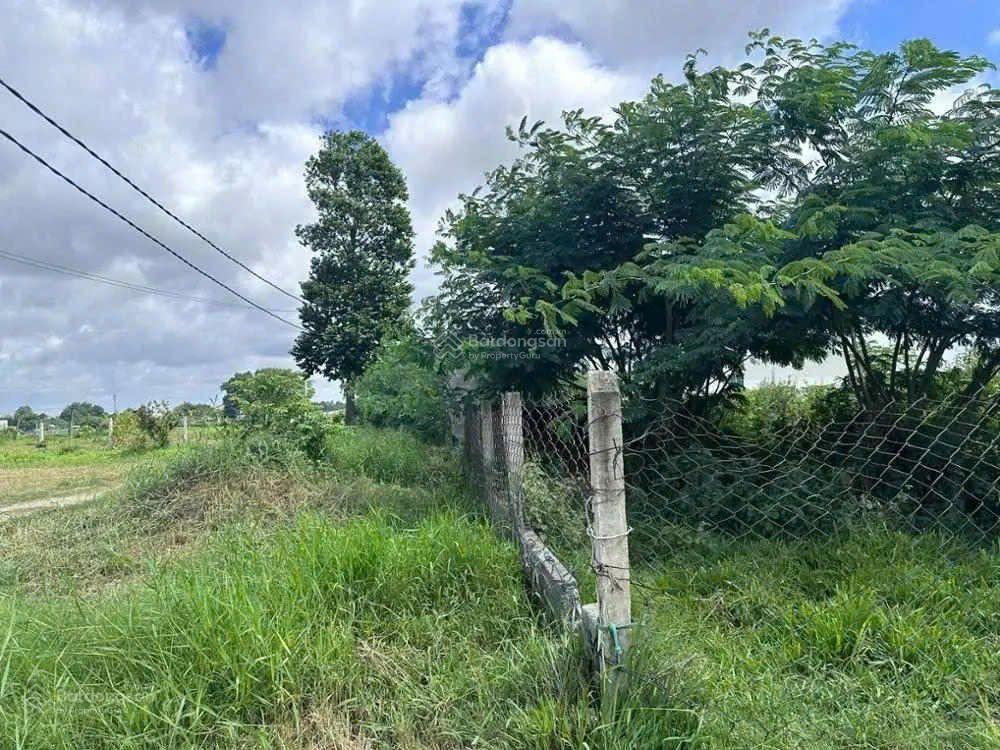 Bán đất tại tân mỹ, đức hòa, long an. dt 2.226 m2, giá cực rẻ