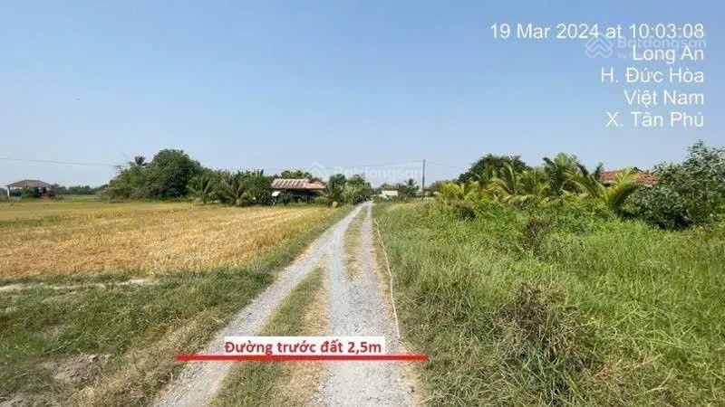 Bán đất tại xã tân phú, đức hòa, long an, giá siêu hời 2,185 tỷ, 875 m2