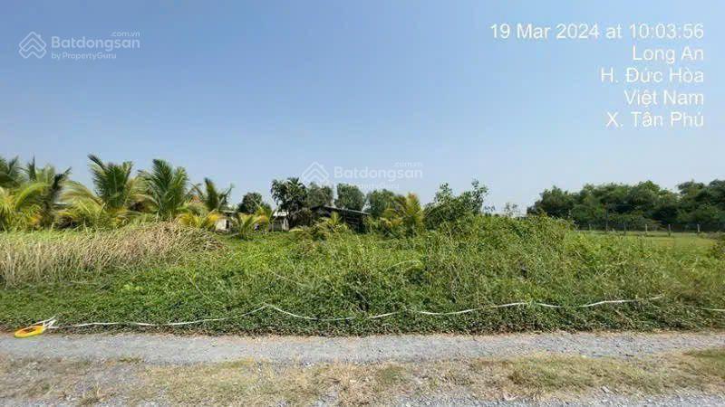 Bán đất tại xã tân phú, đức hòa, long an, giá siêu hời 2,185 tỷ, 875 m2