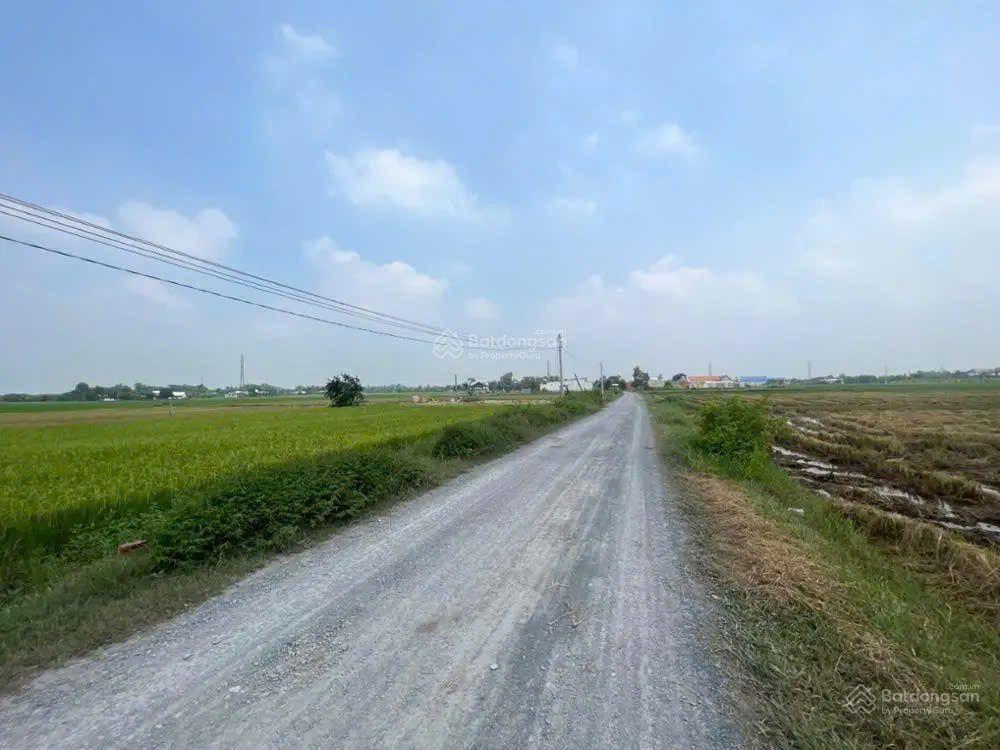 Bán đất tại hoà thuận, hiệp hoà, đức hòa, long an. dt 352m2, giá 1,045 tỷ cực rẻ