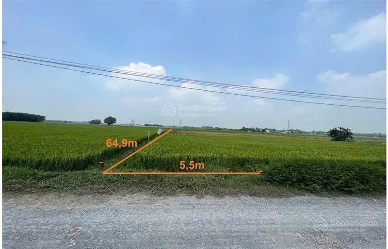 Bán đất tại hoà thuận, hiệp hoà, đức hòa, long an. dt 352m2, giá 1,045 tỷ cực rẻ