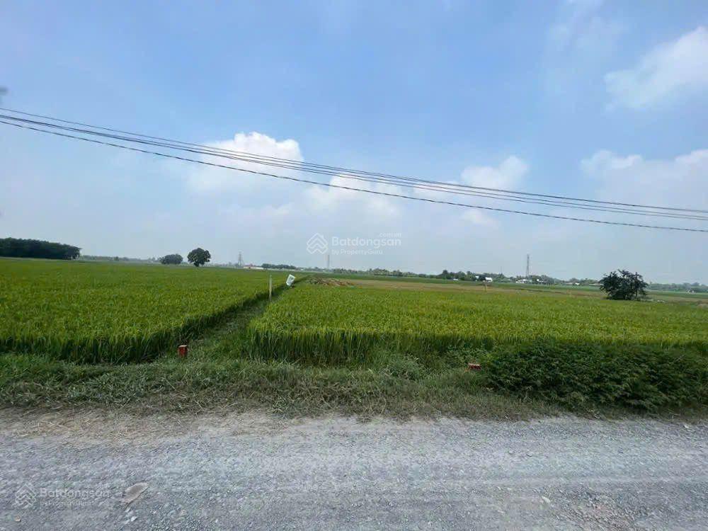 Bán đất tại hoà thuận, hiệp hoà, đức hòa, long an. dt 352m2, giá 1,045 tỷ cực rẻ