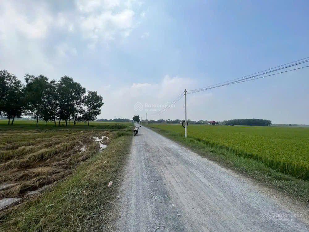 Bán đất tại hoà thuận, hiệp hoà, đức hòa, long an. dt 352m2, giá 1,045 tỷ cực rẻ