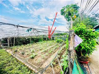 Chính chủ bán đất nền 101m2, sổ hồng đầy đủ pháp lý full thuế phí 1ty85