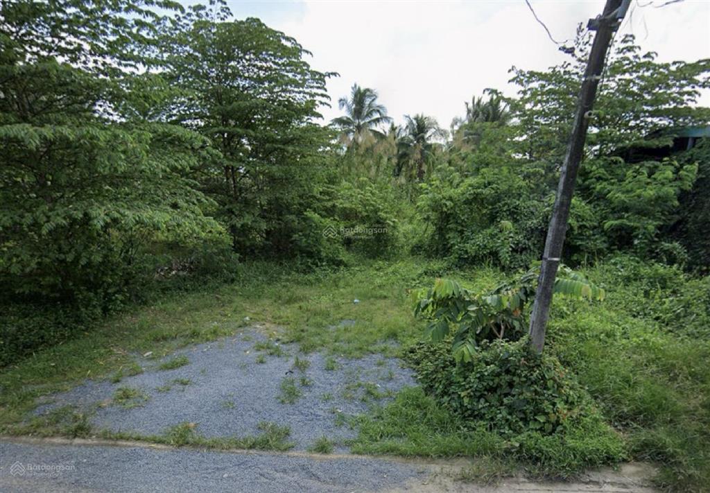 Mtd ao gòn 140m2 giá 790tr. lô đất tại tân lân cần đước long an. sang tên công chứng trong ngày.