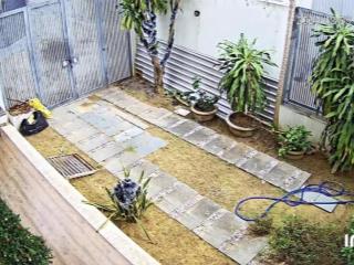 Lô góc an thượng 24 106m2, ngang 7m vuông vức, kẹp kiệt sau lưng. nhà 3 tầng giá chỉ 13 tỷ tl