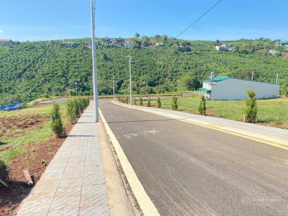 Chốt 1,690 tỷ cho lô đất 343m2 full thổ gần chợ lộc quảng cần bán nhanh