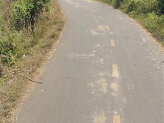 Bán 650m2 ngang 15m, đường nhựa 6m thông, khu dân cư, có 300m2 tc