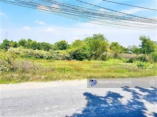 Bán gấp đất đ.pháo binh, thanh phước, gò dầu, gần bệnh viện xuyên á tây ninh. dt 120m2/600tr shr.