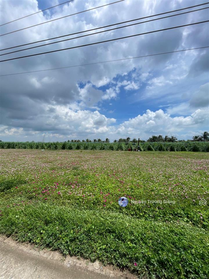 Bán gấp đất xã tân điền, gò công đông, tiền giang gần biển tân thành, 150m2/1,450 tỷ shr, thổ cư