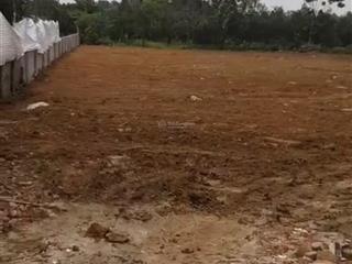 Bán đất siêu đẹp, 290m2 chỉ 85tr/m2 tại vân nội, đông anh, hà nội