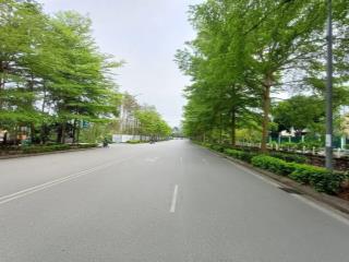Mảnh đất siêu hiếm  ngõ thông ô tô  thửa hình siêu đẹp  vị trí đắc địa  trung tâm trâu quỳ.