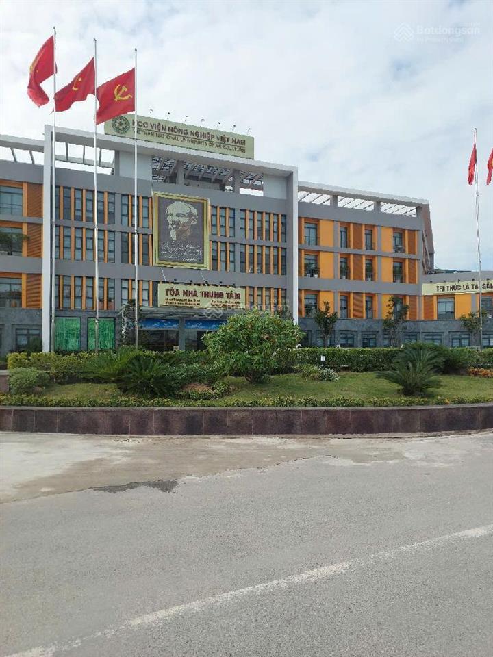 Si.êu hi.ếm si.êu hót đất trâu quỳ ô tô tránh thửa đất vuông vắn đầu tư, ở đỉnh chóp.