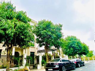 Siêu phẩm đơn lập vinhomes green villas, diện tích 430m nhà vuông vắn, cực đẹp, diện tích siêu rộng