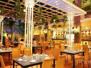 Cho thuê mặt bằng kinh doanh phố nguyễn khang, dt 170m2 x 5t, mt 8m, phù hợp mọi mô hình
