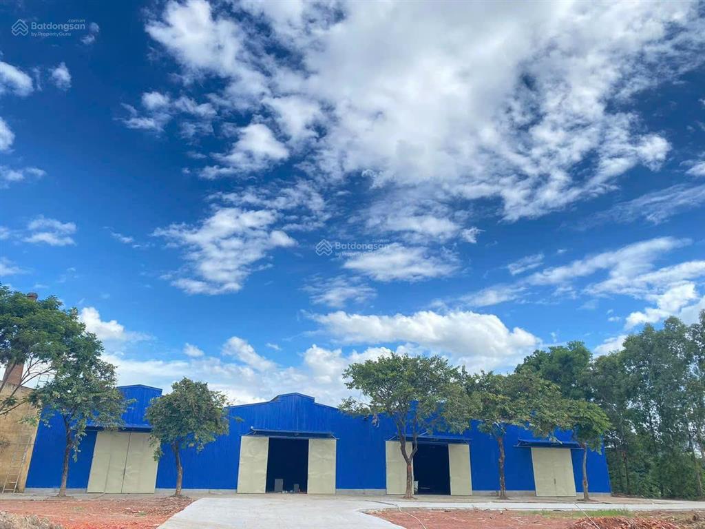 Cho thuê kho xưởng 6.000m2 tại kcn đài tư, long biên container 40ft, hạ tầng kcn
