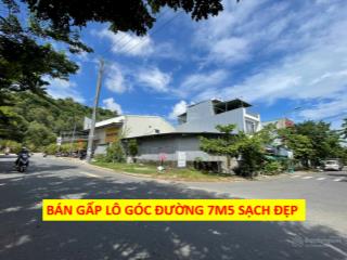 [siêu phẩm]  lô góc mặt tiền kinh doanh đường 7m5 lê đình kỵ & nguyễn thị cận 145m2