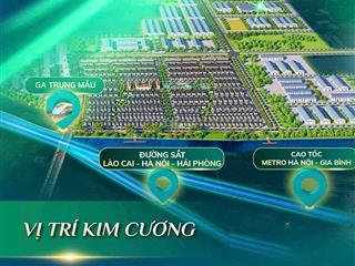 Bán nhanh biệt thự 345m2  giữa trung tâm vsip từ sơn bắc ninh  giá rẻ ngang chung cư hà nội
