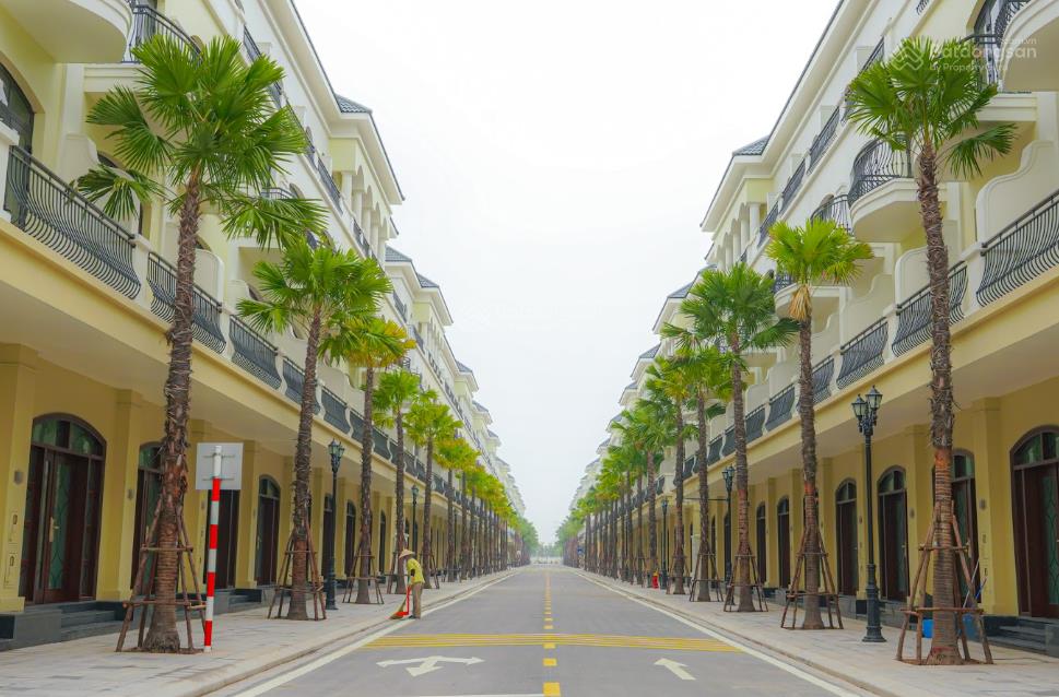 Bán shophouse chà là cl1513 112,5m², 5 tầng, giá 18,211 tỷ kinh doanh đỉnh, giữ tài sản bền