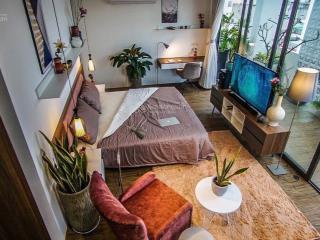 Căn hộ 1pn xinh xắn ngay chợ bến thành, phố đi bộ bùi viện