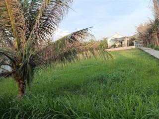 Cần bán gấp lô đất ấp phú tự, bến tre, chỉ 1tỷ5 có hơn 1000m2. giá tốt, rẻ, đất ruộng, bao check