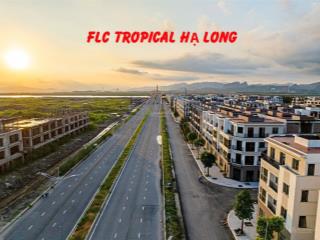 Bán gấp đất nền dự án flc tropical city, 90m2, 16 triệu vnd, hà khánh, hạ long, quảng ninh