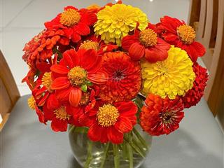 Bán nhà mặt tiền đường kinh doanh 66,8 m2