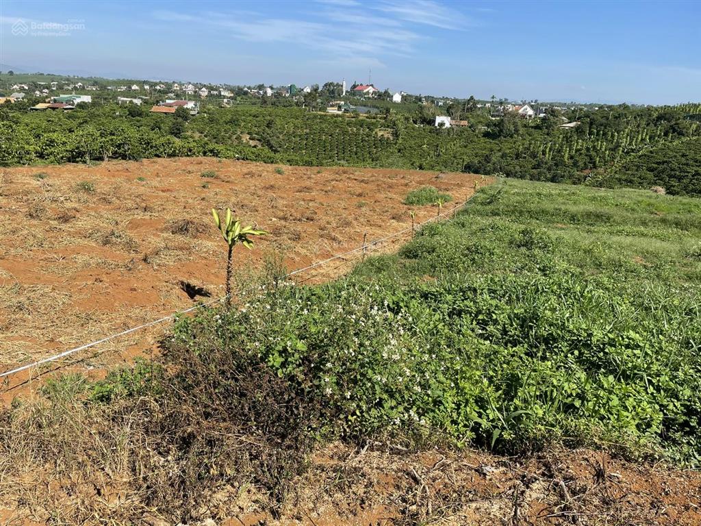 Di linh, mặt tiền nhựa container 28m tại hòa ninh, 4.660m², 400m² thổ cư  làm homestay cực đẹp