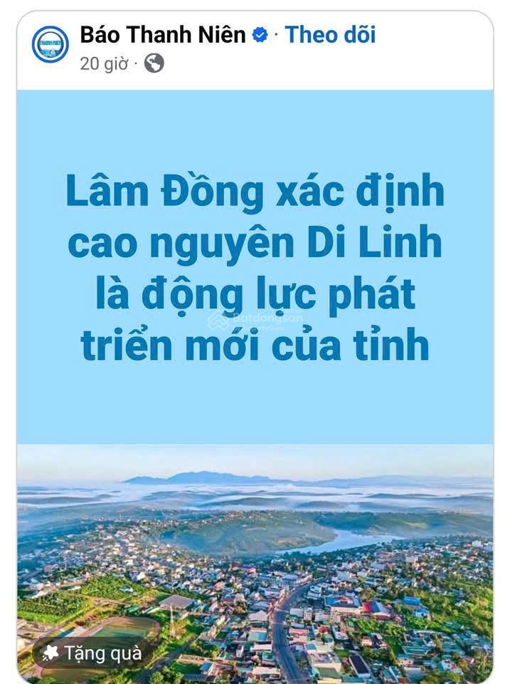 Di linh, mặt tiền nhựa container 28m tại hòa ninh, 4.660m², 400m² thổ cư  làm homestay cực đẹp