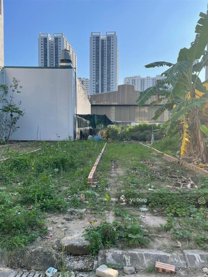 Bán đất dịch vụ phú vinh khu 3, dt 45m², mặt tiền 3,06m. gần vành đai 3.5, vành đai 4. giá tốt