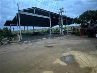 Bán gấp kho, nhà xưởng 4500m2 tại quốc lộ 20, phú hội, đức trọng, lâm đồngrọng, lâm đồng, 32 tỷ vnd